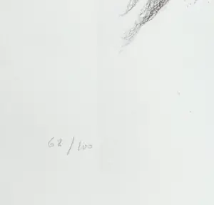 Octave Landuyt - Möwe – Seltener signierter und nummerierter Druck kopen? Bied vanaf 150!