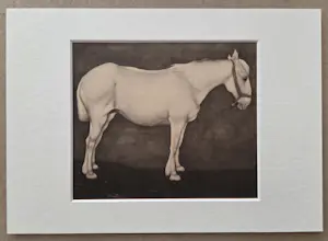 Jan Mankes - Paard. Ingelijst. kopen? Bied vanaf 119!