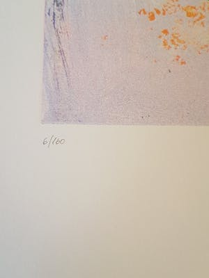 Jan te Wierik - Duo duo kopen? Bied vanaf 80!