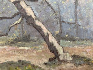 Auguste J.H. Van Steenacker - Besneeuwde boom kopen? Bied vanaf 29!