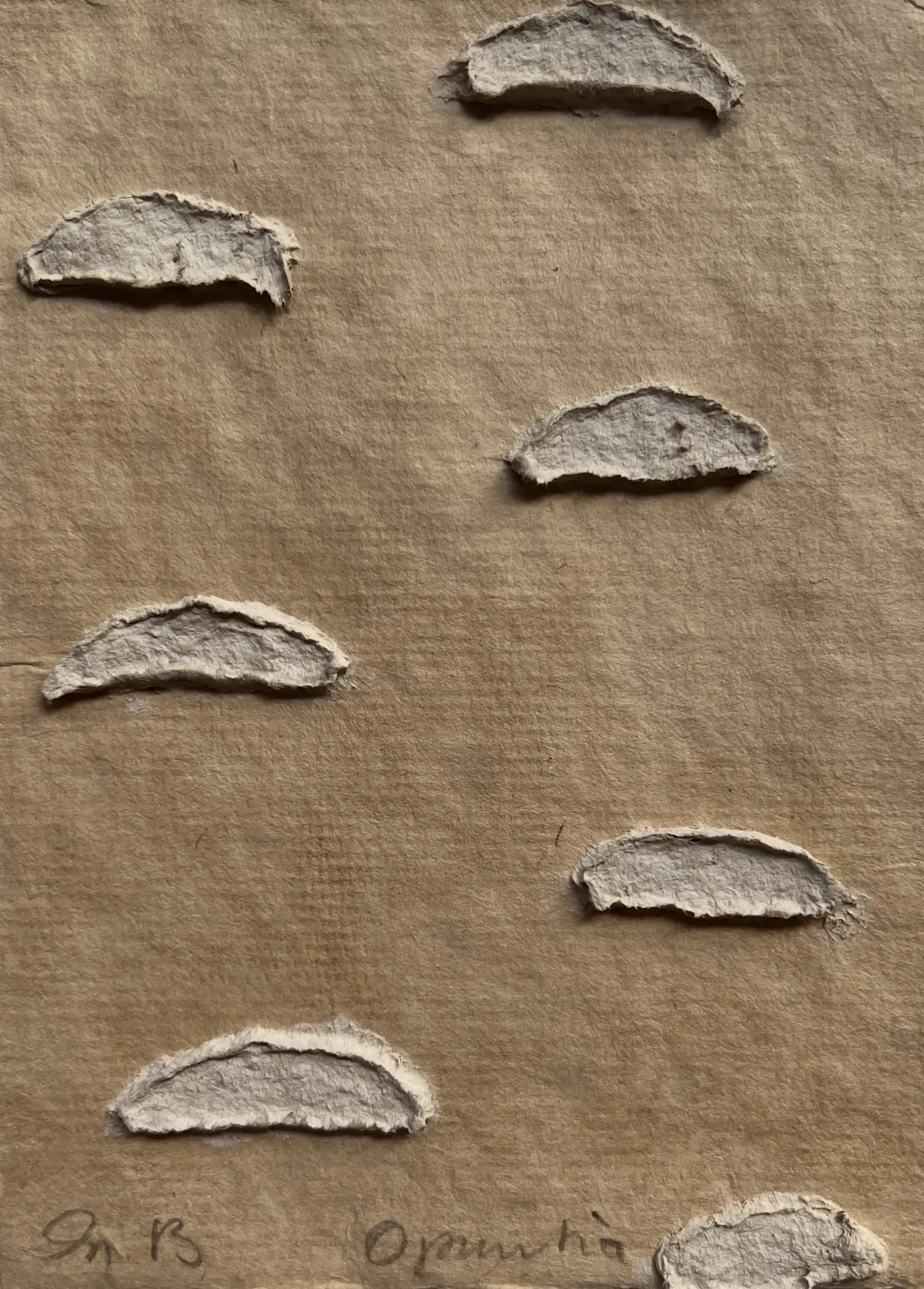 Sjoerd Buisman (1948)