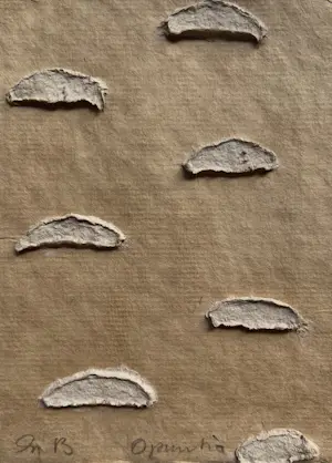 Sjoerd Buisman - handgesigneerd collage op karton | 'Opuntia' | 1993 (UNIEK WERK) kaufen? Bieten Sie von 250!