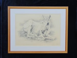 Piet Klaasse - Rustend paard kopen? Bied vanaf 55!