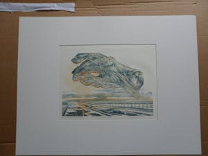 Lies Verdenius - Litho. Titel, "Verbrande vingers". uit 1979 kopen? Bied vanaf 20!