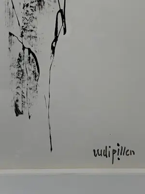 Rudi Pillen - Naakt kopen? Bied vanaf 1150!