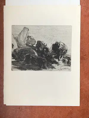 Auke de Vries - ets Stenen 1966 kopen? Bied vanaf 40!