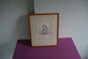 Edwin Kragten - Droge naaldets twee aapjes kopen? Bied vanaf 50!