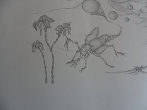 Niet of onleesbaar gesigneerd - Litho, Titel onbekend kopen? Bied vanaf 1!