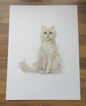 Niet of onleesbaar gesigneerd - Mads Stage - 4 Studies of Cats kopen? Bied vanaf 1!