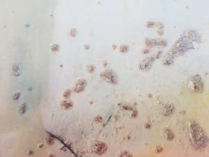 Annemiki Bok - Landschap kopen? Bied vanaf 1!