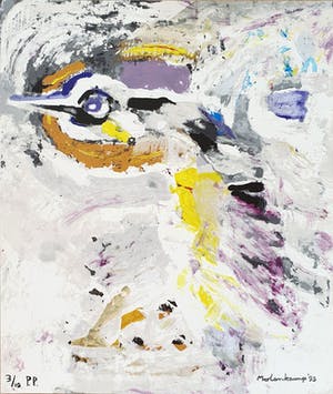 Nico Molenkamp - Zeefdruk, Vogel kopen? Bied vanaf 1!