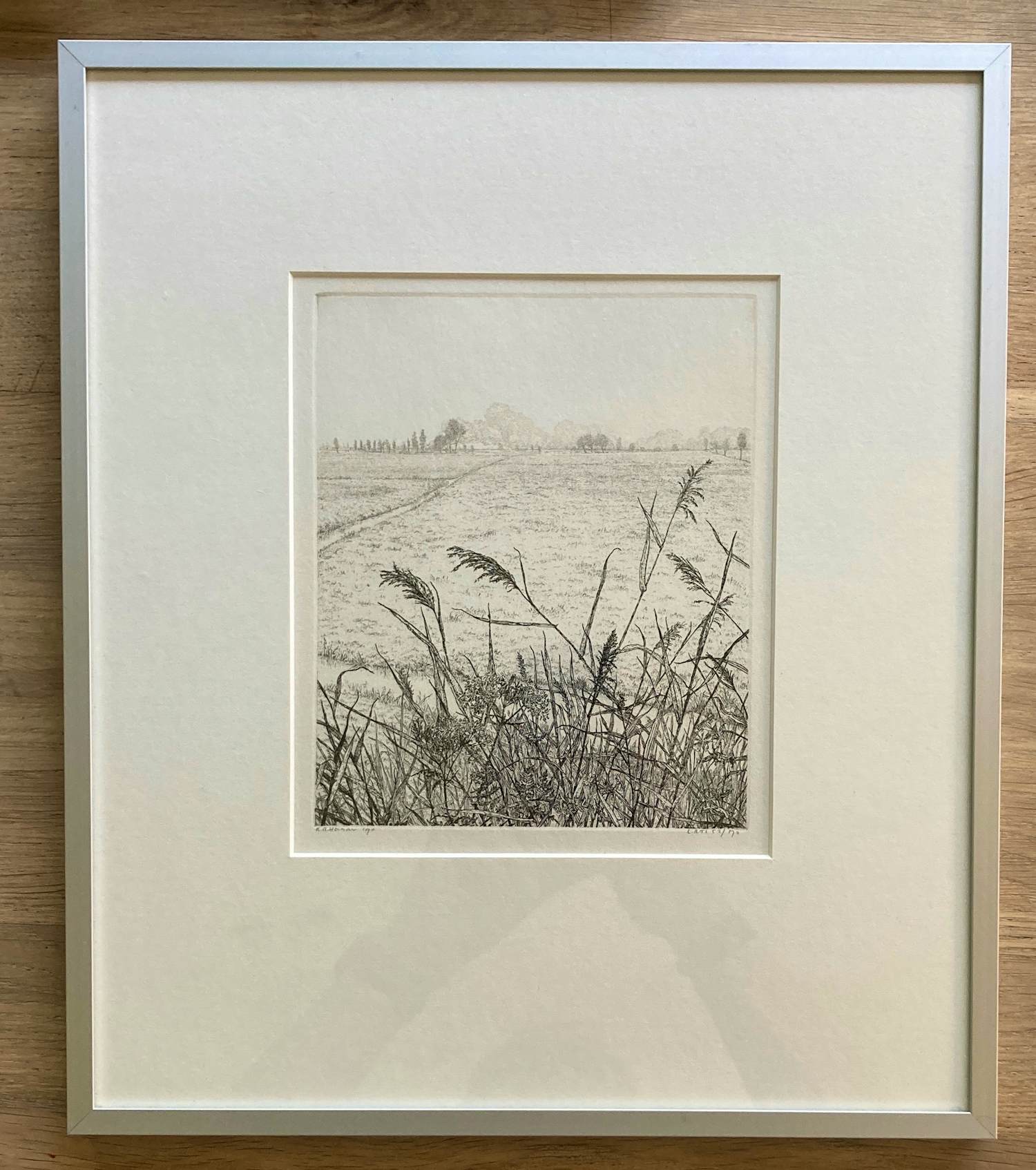 Reinder Homan - Ets, Landschap met riet in de polder ‘90 kopen? Bied vanaf 65!