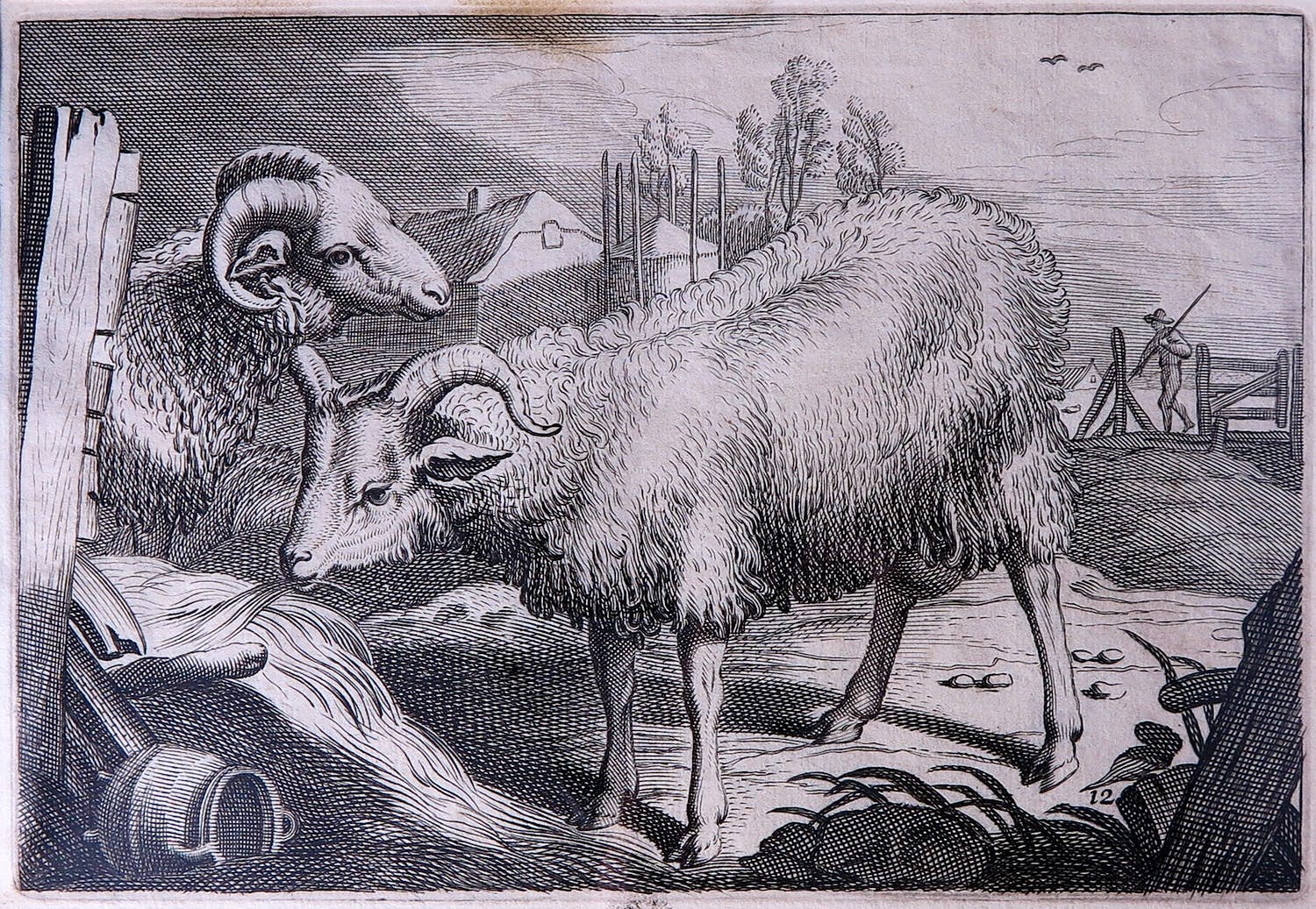 Reinier van Persijn - Naar Jacob Cuyp, Kopergravure, Twee Schapen uit Diversa Animalia Quadrupedia kopen? Bied vanaf 1!