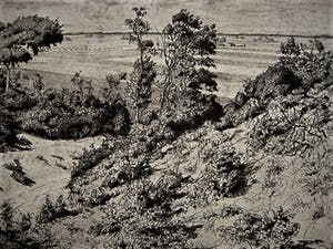 Niet of onleesbaar gesigneerd - Circa 1930 - grote droge naald Ets "Duinlandschap" gesigneerd kopen? Bied vanaf 1!