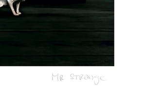 Mr. Strange - Ondes Hertziennes kopen? Bied vanaf 55!