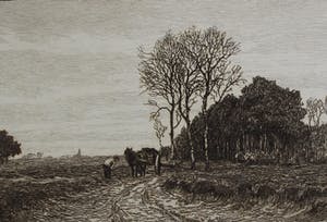 Niet of onleesbaar gesigneerd - Ets: landschap kopen? Bied vanaf 10!