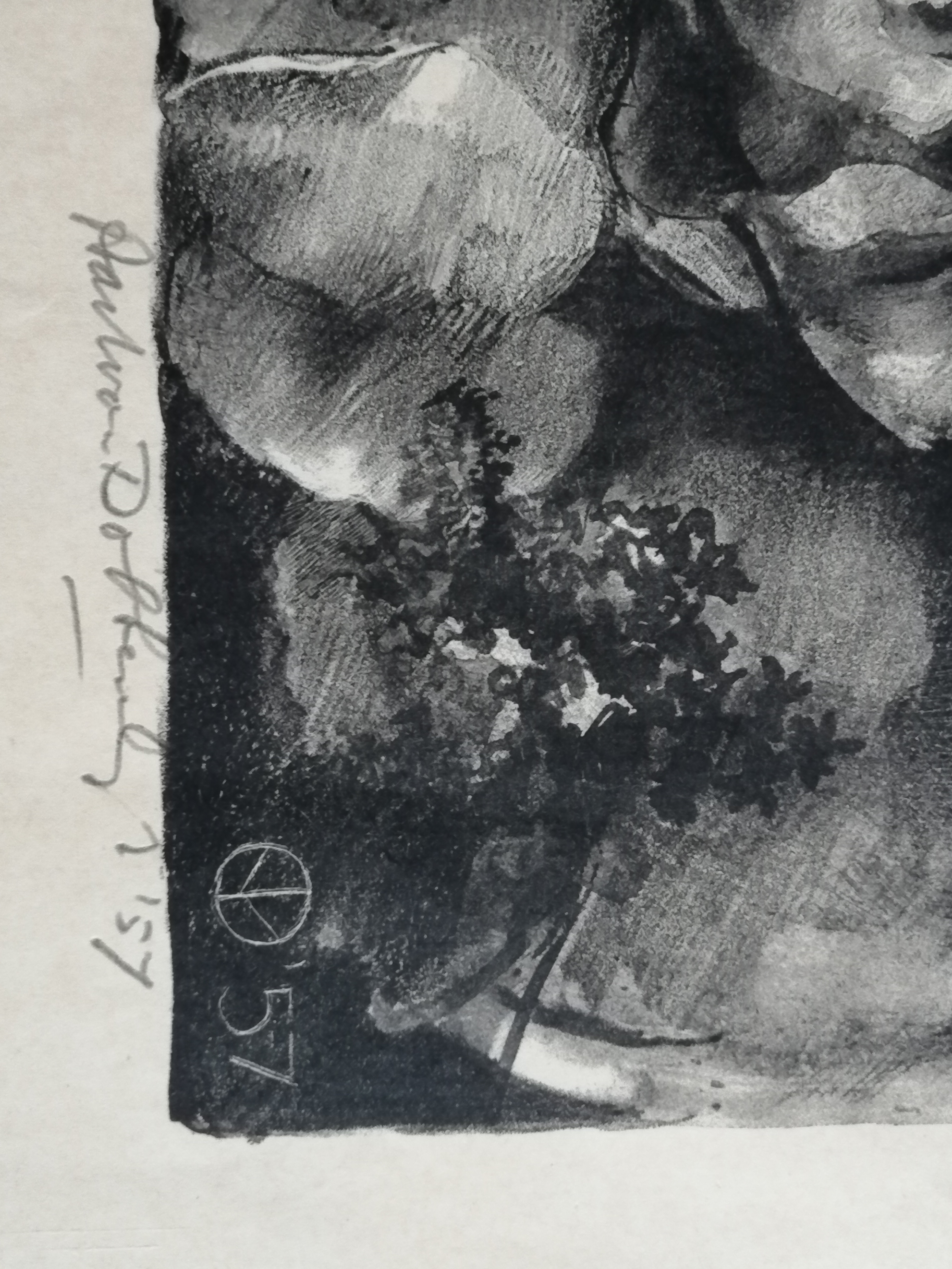 Aart van Dobbenburgh - Zonnebloemen kopen? Bied vanaf 30!