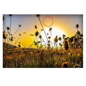 Niet of onleesbaar gesigneerd - Wall Art "Sardegna" [Alu di-bond 80x60 cm] (licht beschadigd) kopen? Bied vanaf 1!