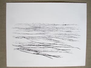 Willem den Ouden - Litho kopen? Bied vanaf 70!