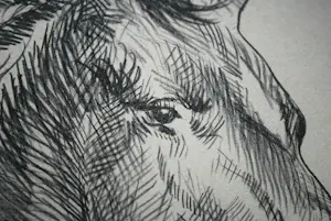 Marcello Cassinari Vettor - Cavallo - steigerend paard - grote litho, oplage 53/150 kopen? Bied vanaf 60!