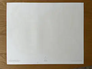 Karel Appel - "Hoofd in de storm" - 1972 - nieuwstaat kopen? Bied vanaf 75!