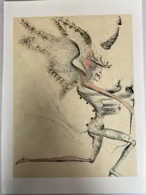 Salvador Dali - 12 stuks litho Venus aux Fourrures kaufen? Bieten Sie von 185!