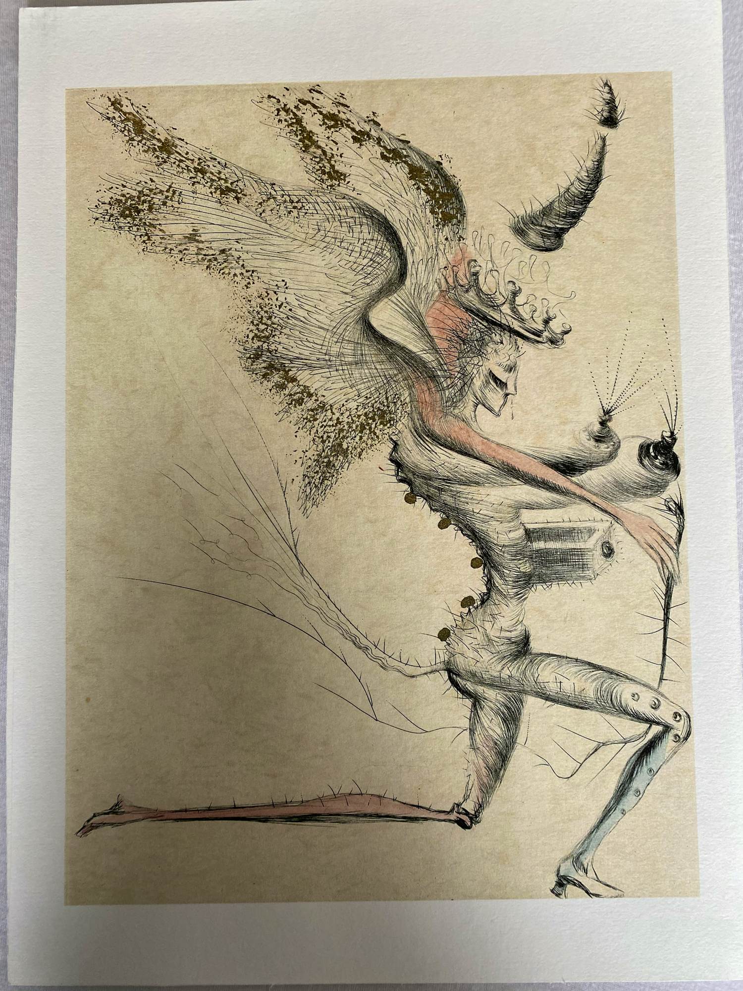 Salvador Dali - 12 stuks litho Venus aux Fourrures kopen? Bied vanaf 185!