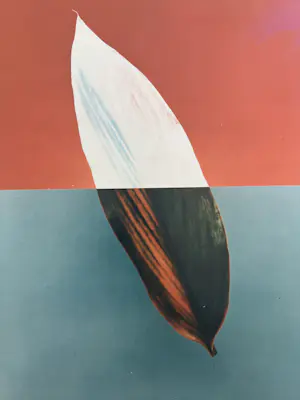 Jean Ruiter - handgesigneerde foto | 'Complemented & Opposed' kopen? Bied vanaf 1!