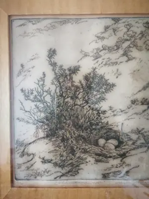 Antonius Cornelis Ninaber van Eyben - Zilvermeeuwennest kopen? Bied vanaf 59!