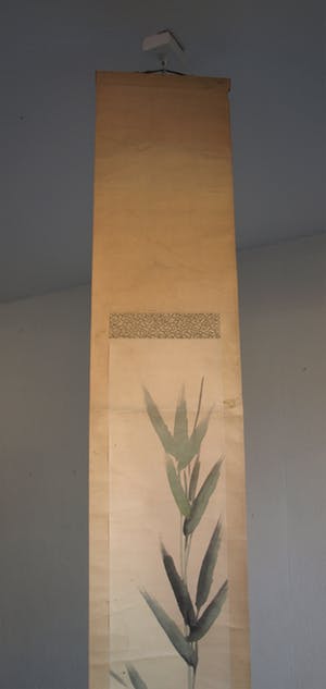 Niet of onleesbaar gesigneerd - Japanse of Chinese scroll, “Kleine vogel” - Aquarelverf op papier, 19e Eeuw kopen? Bied vanaf 10!