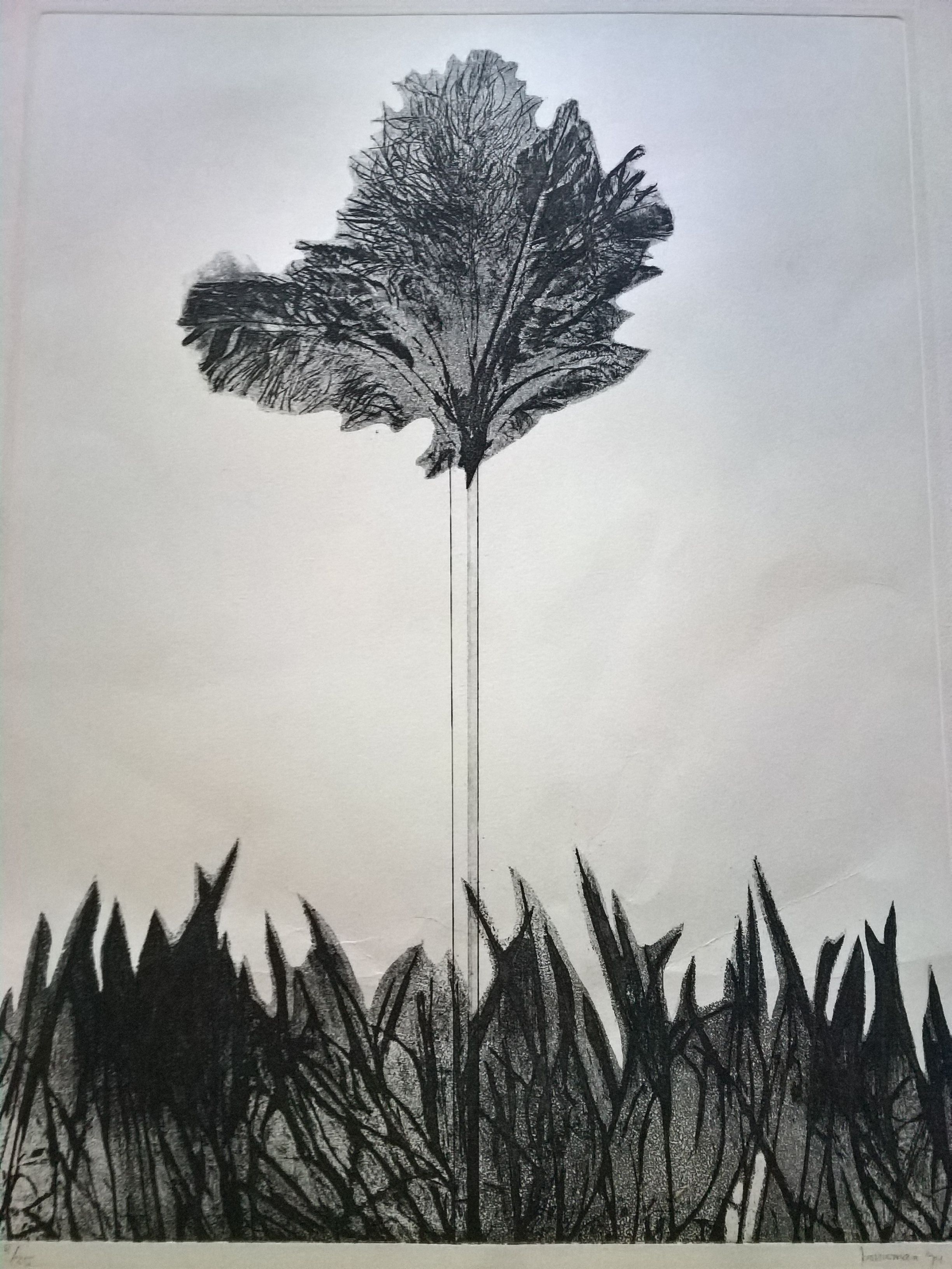 Niet of onleesbaar gesigneerd - Plant in het gras kopen? Bied vanaf 1!