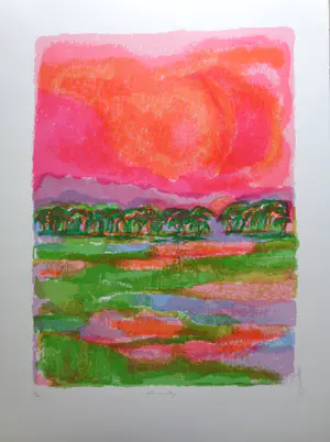 Ronald Julius Christensen - AFRICAN SKY / KLEURLITHO / 76x56cm / SIG kopen? Bied vanaf 25!