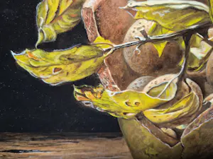 Jan Teunissen - Stilleven met Mispels in een bloempot kopen? Bied vanaf 150!