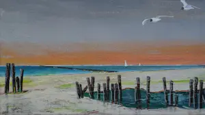 Franklin Meijer - Waddenkust met kokmeeuwen kopen? Bied vanaf 79!