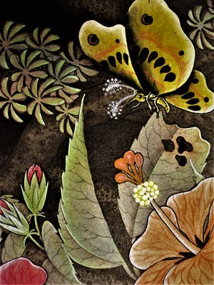 Niet of onleesbaar gesigneerd - Kleurrijk Aquarel Indonesië "Javaanse IJsvogel, Vlinders en Bloemen" gesigneerd kopen? Bied vanaf 10!