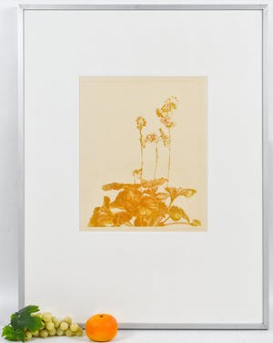 Marijke Fast - Plant V kopen? Bied vanaf 15!