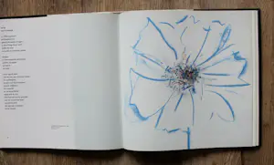 Jef Diederen - Gesigneerd boek - 1991 kopen? Bied vanaf 55!