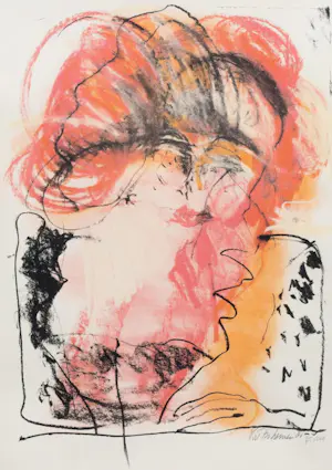 Kees van Bohemen - Kleuren litho - 1981 kaufen? Bieten Sie von 175!