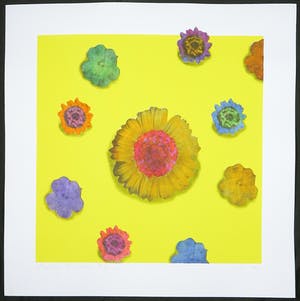 Arjan van Arendonk - Zeefdruk, Floating Flowers II kopen? Bied vanaf 1!