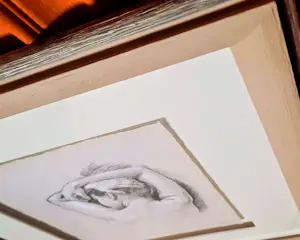 Francine van Hove - Lithografie auf Büttenpapier "The Nose the Pillow" Passepartout Rahmen kopen? Bied vanaf 90!