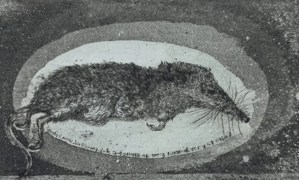 Frans Pannekoek (1937)