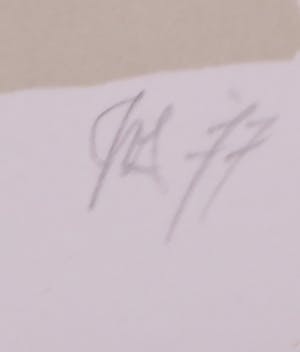 Peter Vos - Litho, Podargus Strigoides kopen? Bied vanaf 1!