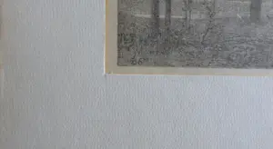 Simon Moulijn - BOMEN NAAST DE RIVIER / ZW-W LITHO / 22x29cm / 1906 / PASSE-PARTOUT kopen? Bied vanaf 25!