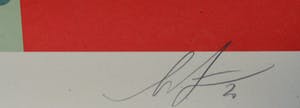 Shepard Fairey - Voting Rights Are Human Rights - gesigneerd kopen? Bied vanaf 1!