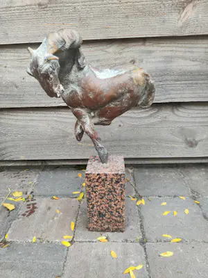 Jos Dirix - Camarqua kopen? Bied vanaf 1200!