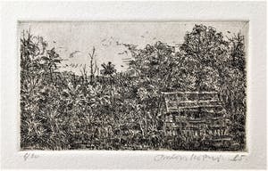 Simon Koene - Tropisch oerwoud met Indiaanse hut kopen? Bied vanaf 25!