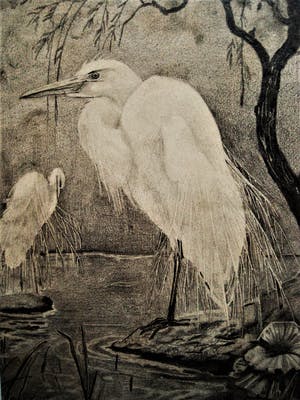 Gerard Christiaan J Gerrits - Fraaie omstreeks 1920 gemaakte potloodtekening "Ooievaars" gesigneerd kopen? Bied vanaf 28!