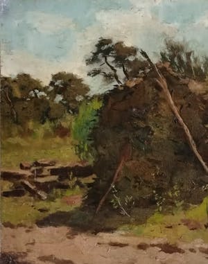 Adrianus Miolee - Het Naaldenveld kopen? Bied vanaf 160!