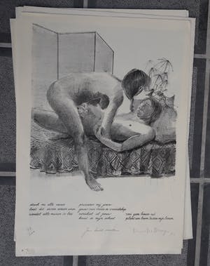 Dees De Bruyne - erotische tekening / naakt kopen? Bied vanaf 75!