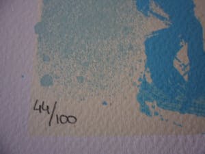 Peter Klashorst - Zeefdruk, Titel, Nema. kopen? Bied vanaf 50!